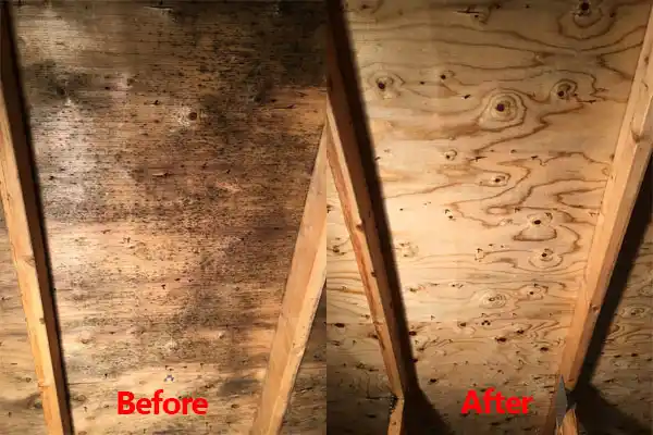 water damage restoration service Chama